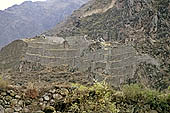Ollantaytambo, the archeological complex, the great ramp of the fortress 